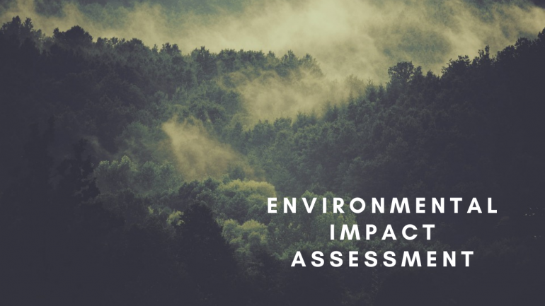 Environmental Impact Assessment